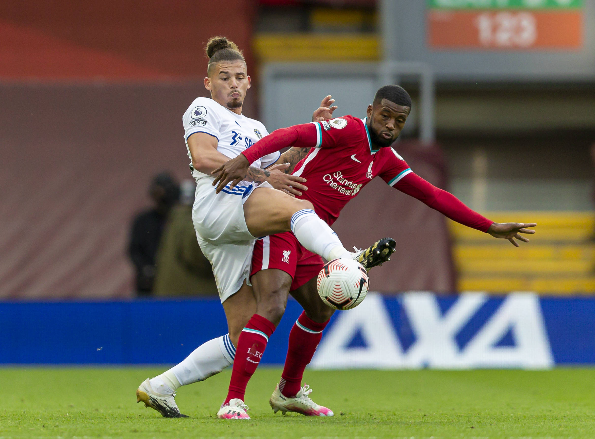 的背后都离 的背后都离